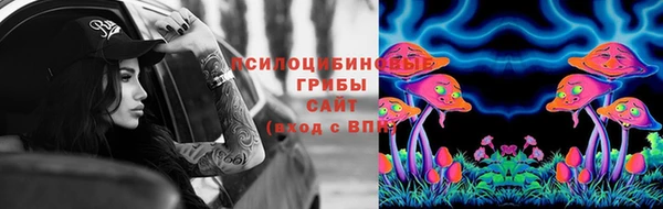 гашик Баксан