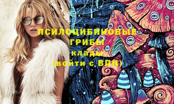 гашик Баксан