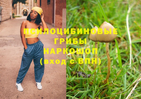 гашик Баксан