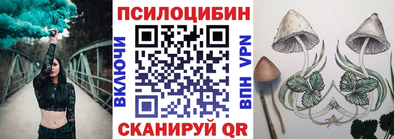 как найти закладки  Бирск  Галлюциногенные грибы Psilocybine cubensis 